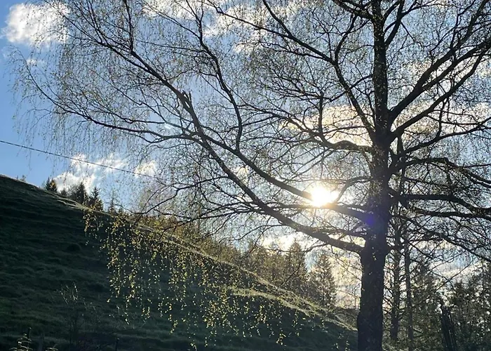 Lejlighed Sonne&luft